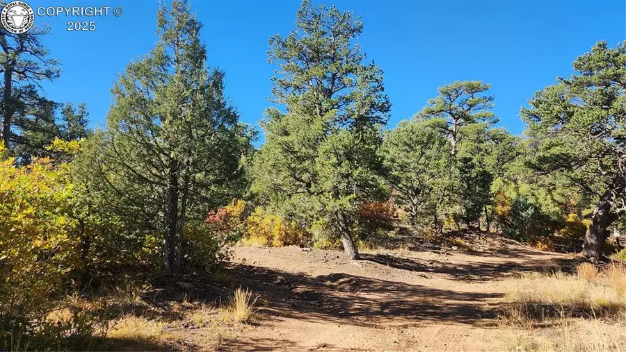 TBD L 42nd Trail, Cotopaxi, CO 81223 - Image #3