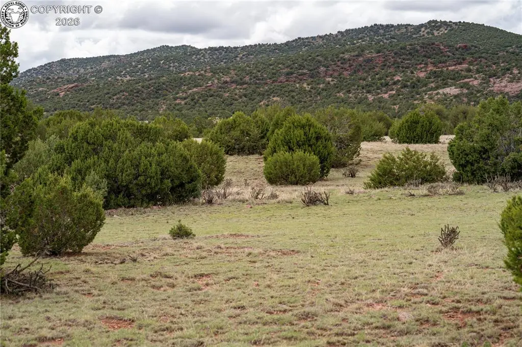 TBD Lot 4 Iron Handle Road, Penrose, CO 81240 - #1