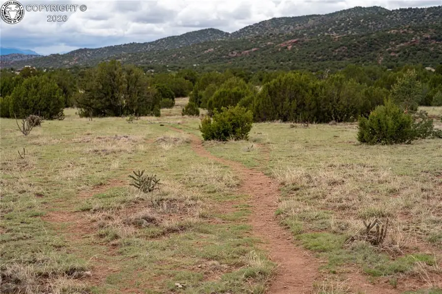 TBD Lot 4 Iron Handle Road, Penrose, CO 81240 - #3