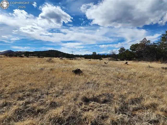 117 Pinon Lane, Cotopaxi, CO 81223 - #1