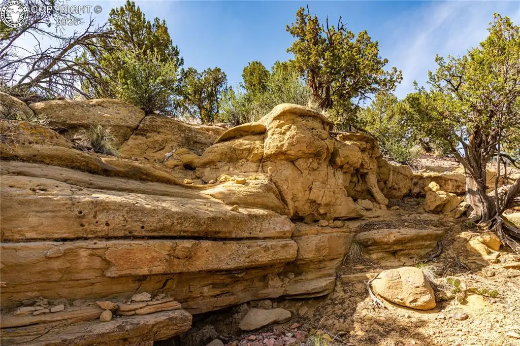 TBD L Bandito Trail, Florence, CO 81226 - #1