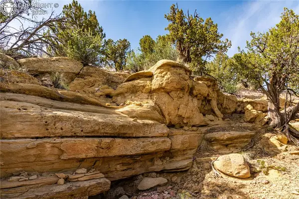TBD L Bandito Trail, Florence, CO 81226