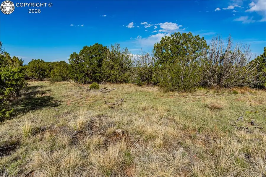 TBD L Bandito Trail, Florence, CO 81226 - #3