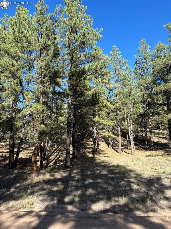 44 Horn Silver Drive, Westcliffe, CO 81252