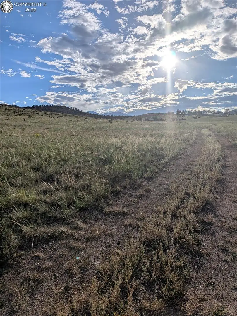 1263 23rd Trail, Cotopaxi, CO 81223 - #3
