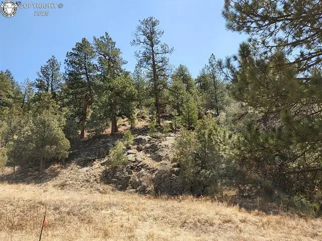 1314 Arnold Drive, Cotopaxi, CO 81223 - #1
