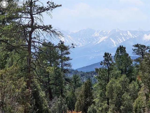 1314 Arnold Drive, Cotopaxi, CO 81223 - #2