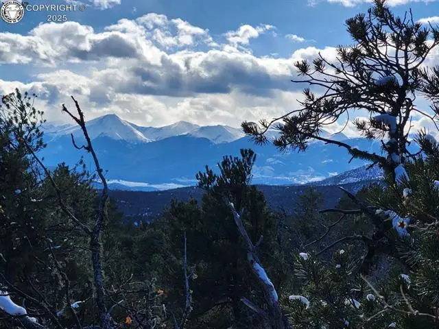 1314 Arnold Drive, Cotopaxi, CO 81223 - #3