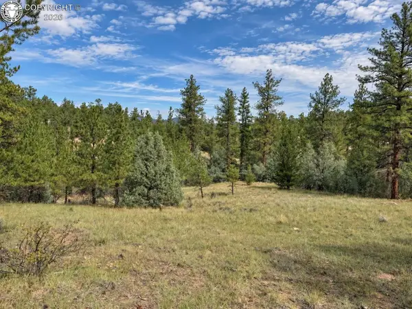 TBD K Path, Cotopaxi, CO 81223