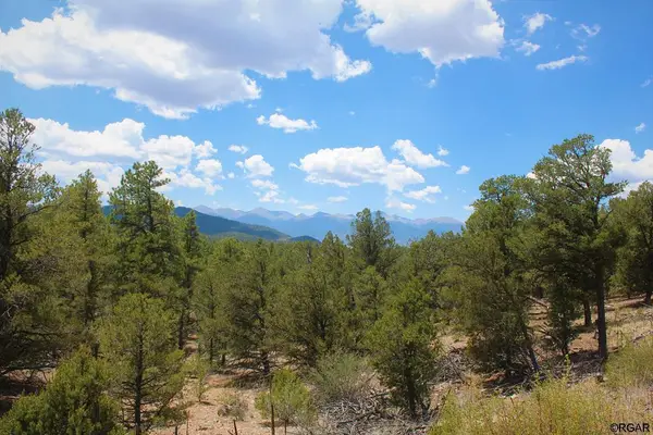 000 E Path, Cotopaxi, CO 81223