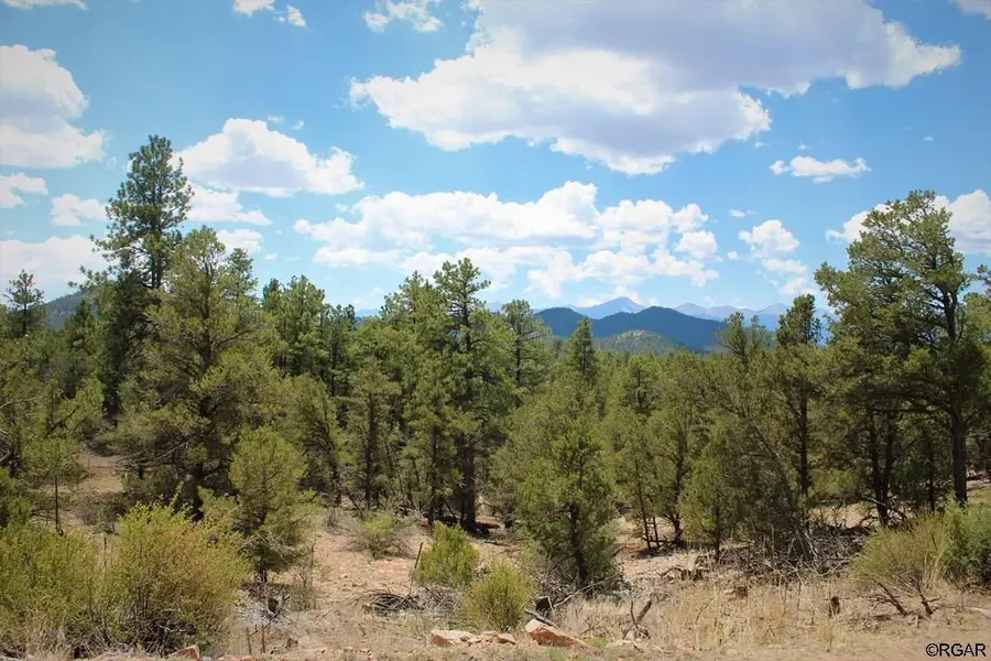 000 E Path, Cotopaxi, CO 81223 - #2