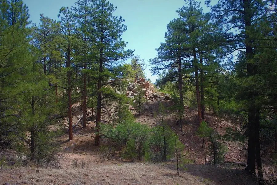 000 E Path, Cotopaxi, CO 81223 - #3