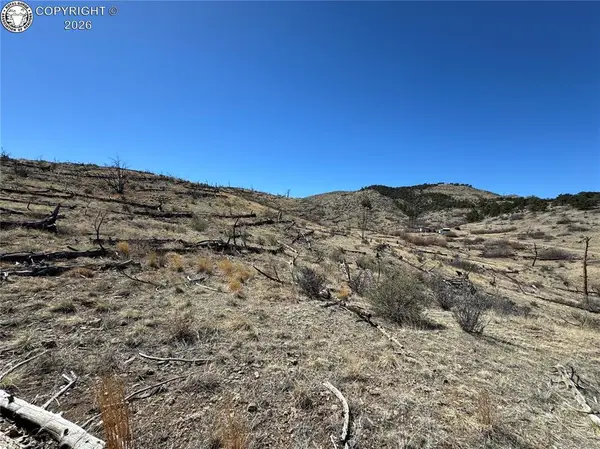 32nd F Path, Cotopaxi, CO 81223