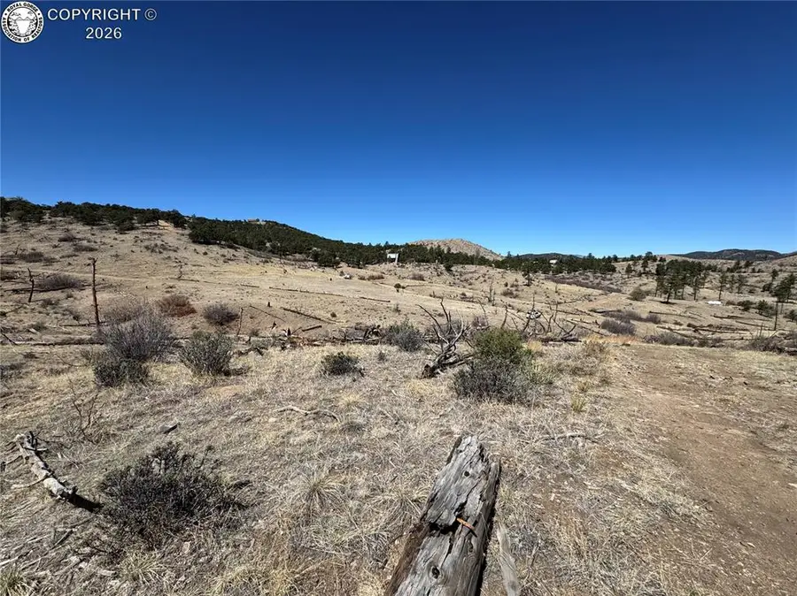 32nd F Path, Cotopaxi, CO 81223 - #2