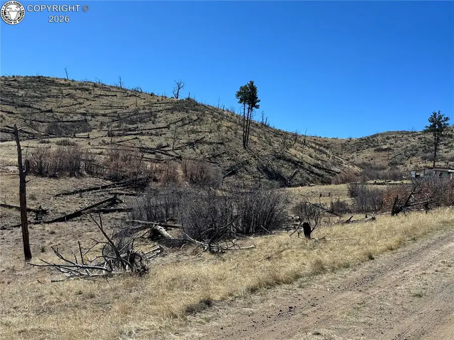 32nd F Path, Cotopaxi, CO 81223 - #3