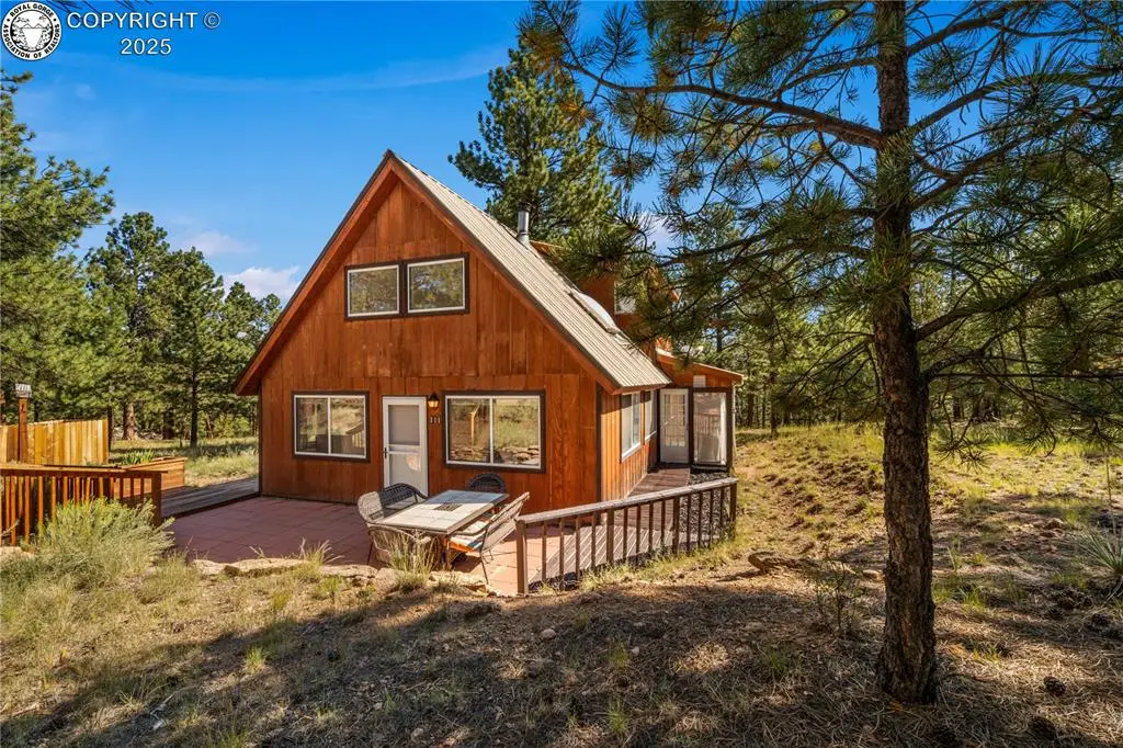 111 Sioux Trail, Westcliffe, CO 81252 - #1