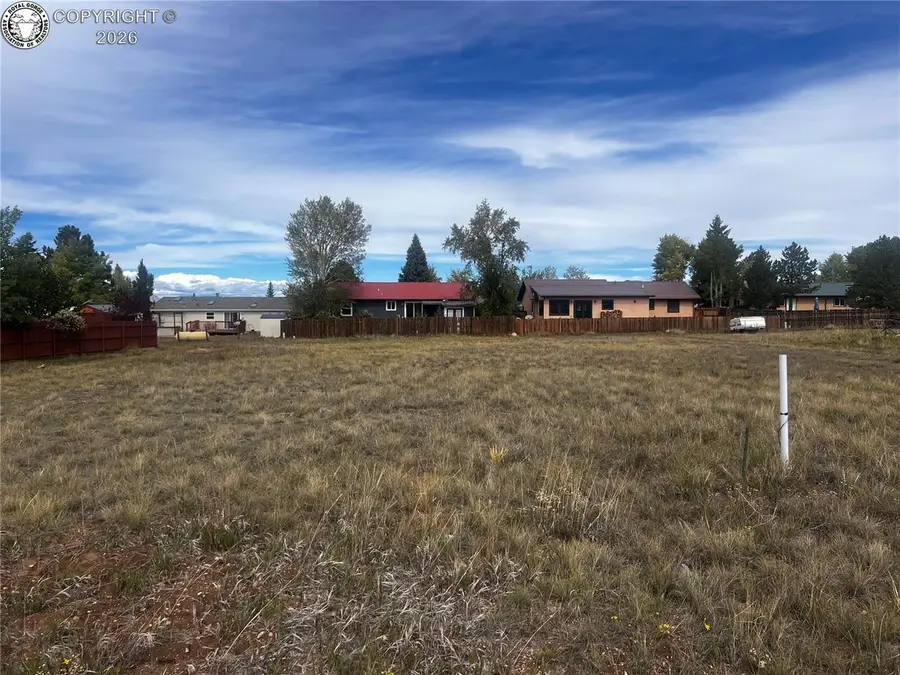813 Hermit Road, Westcliffe, CO 81252 - #3