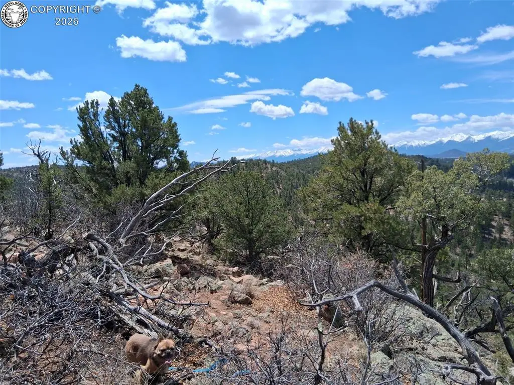 TR-1 G Path, Cotopaxi, CO 81223 - #1