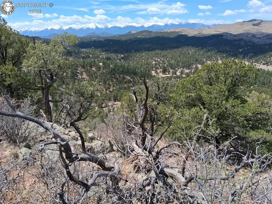 TR-1 G Path, Cotopaxi, CO 81223 - #2