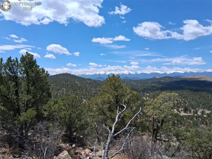 TR-1 G Path, Cotopaxi, CO 81223 - #3