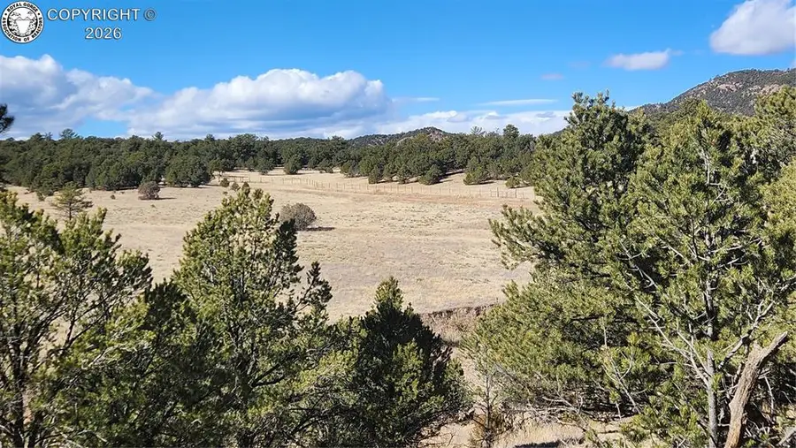311 Kit Carson Trail, Cotopaxi, CO 81223 - #3