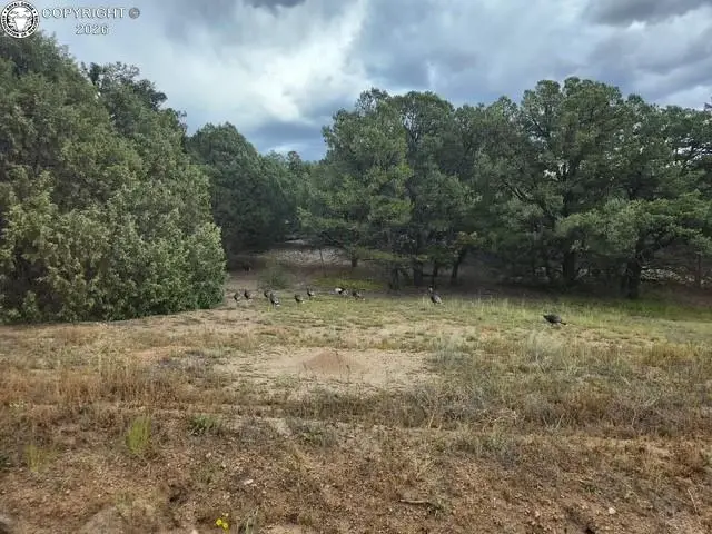 3152 Indian Wells Road, Cotopaxi, CO 81223 - #3