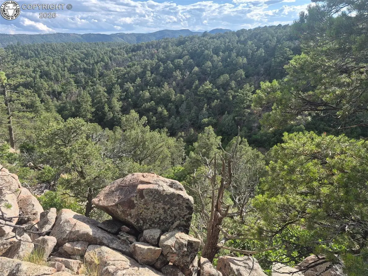 1539 Old Crow Path, Canon City, CO 81212 - #1