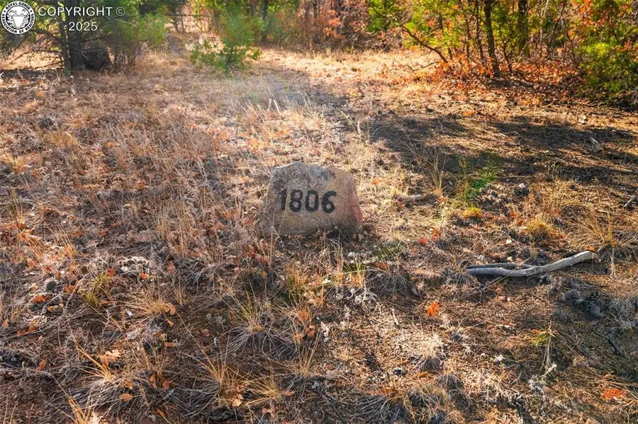 1806 Corral North, Texas Creek, CO 81223 - Image #3