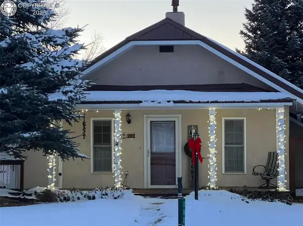 202 S 4th Street, Westcliffe, CO 81252