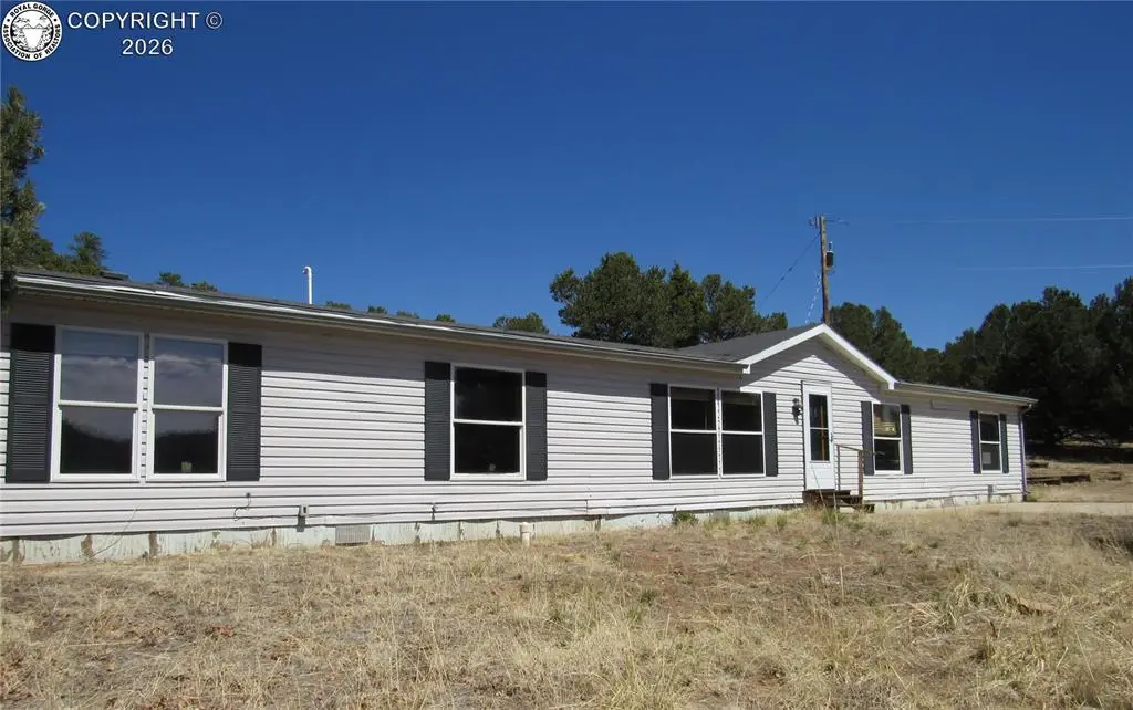 12855 County Road 255, Westcliffe, CO 81252 - #1