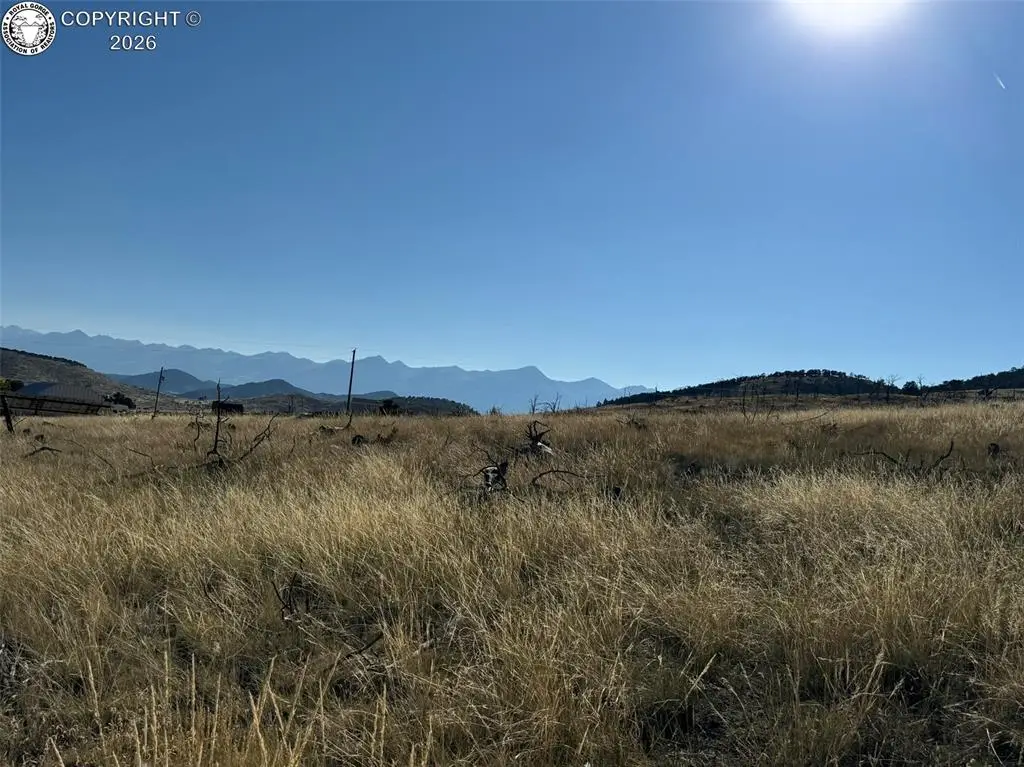 Lot 50 Copper Gulch Road, Cotopaxi, CO 81223 - #1