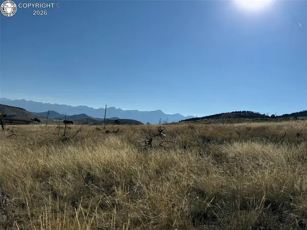 Lot 50 Copper Gulch Road, Cotopaxi, CO 81223