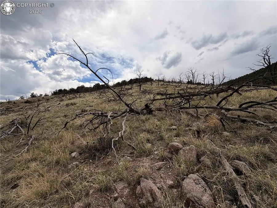 TBD J Path, Cotopaxi, CO 81223 - #2