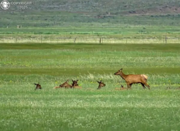 TBD County Road 119, Westcliffe, CO 81252