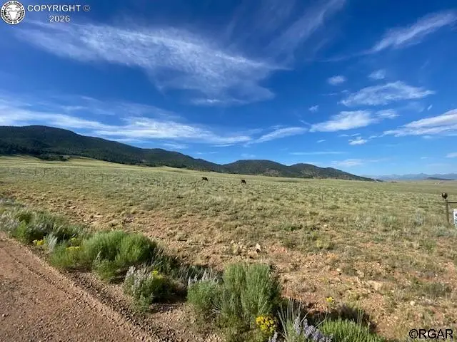 690 Eagles Gate Road, Westcliffe, CO 81252 - #1