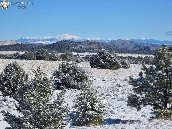 TBD Lot 25 Corral North, Cotopaxi, CO 81223