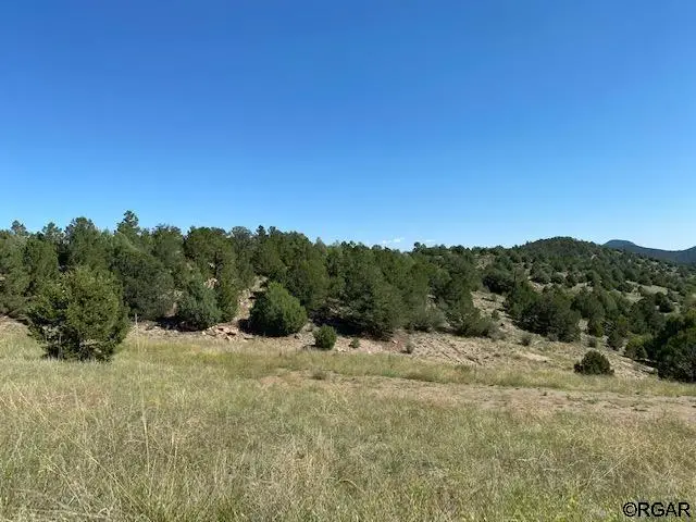 3500 Indian Wells Road, Cotopaxi, CO 81223 - #1