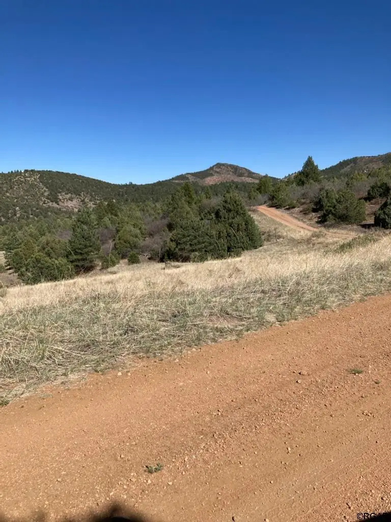 3500 Indian Wells Road, Cotopaxi, CO 81223 - #3