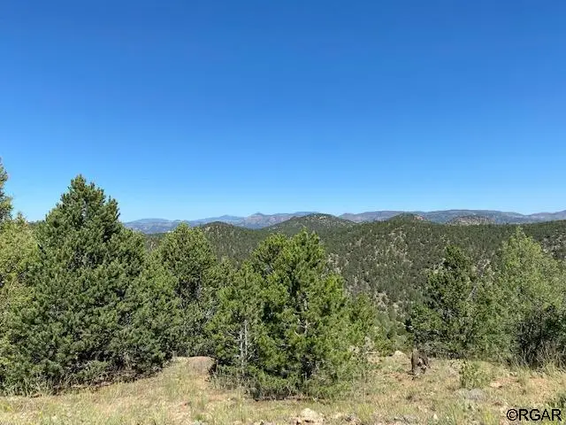 3586 Indian Wells Road, Cotopaxi, CO 81223 - #1