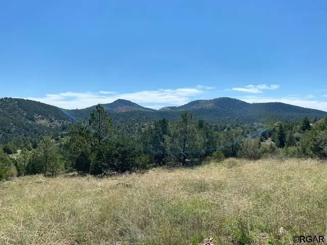 3586 Indian Wells Road, Cotopaxi, CO 81223 - #3