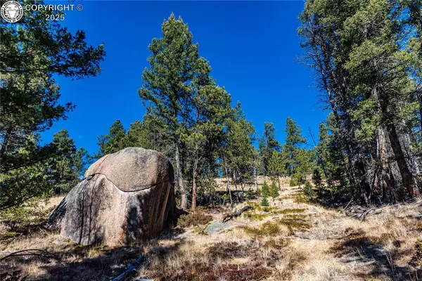TBD Arrowhead Road, Florissant, CO 80816