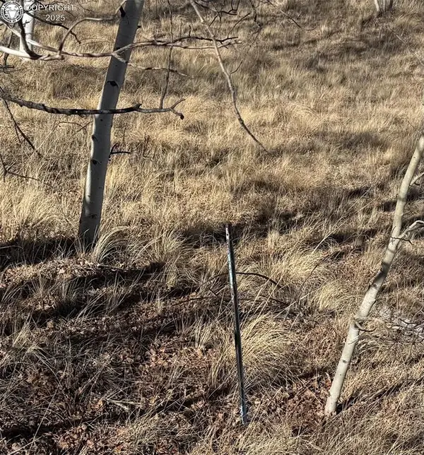 381 Remington Road, Jefferson, CO 80456