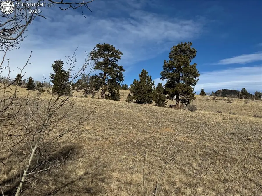 381 Remington Road, Jefferson, CO 80456 - Image #2