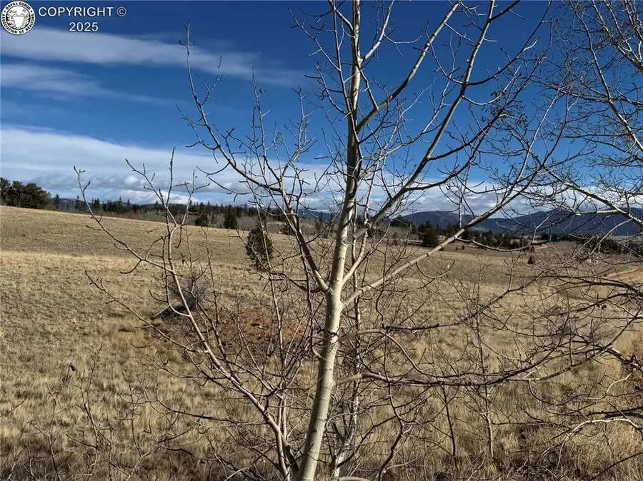 381 Remington Road, Jefferson, CO 80456 - Image #3