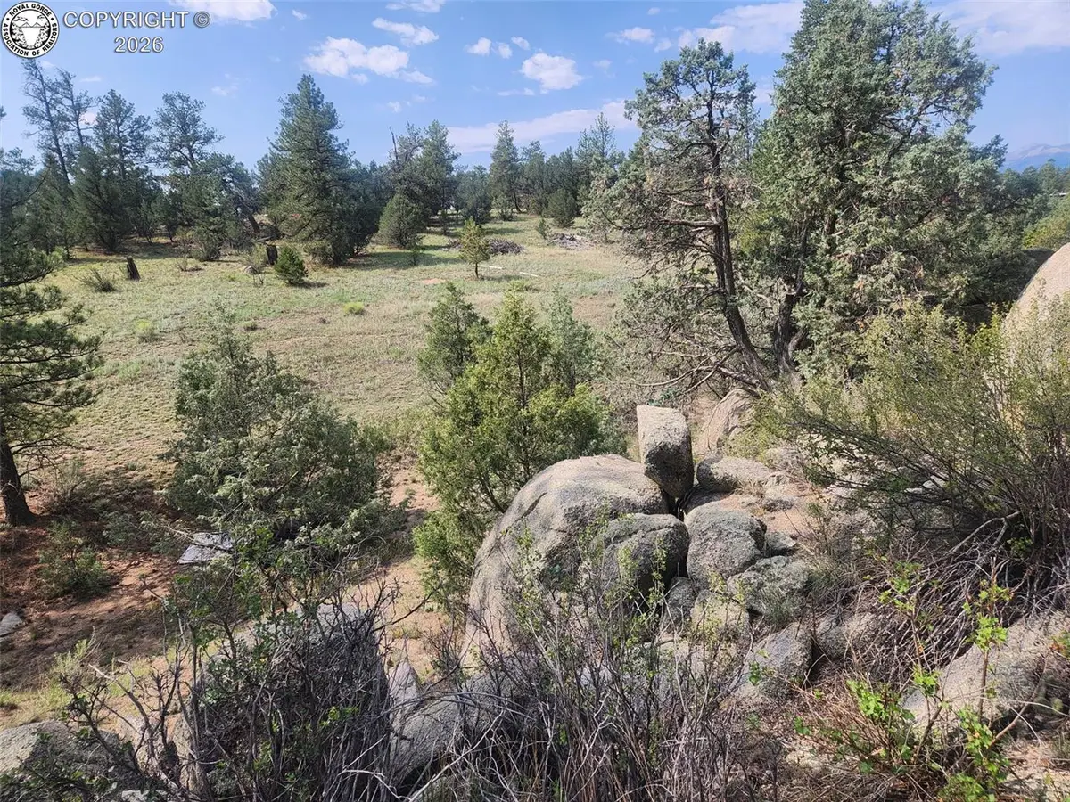 1262 35th Trail, Texas Creek, CO 81223 - #1