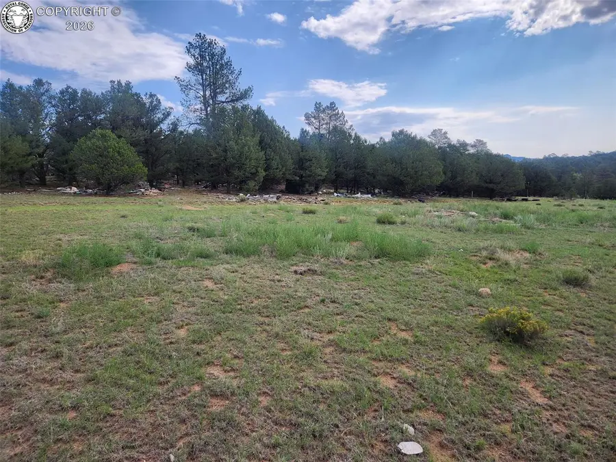 1262 35th Trail, Texas Creek, CO 81223 - #2