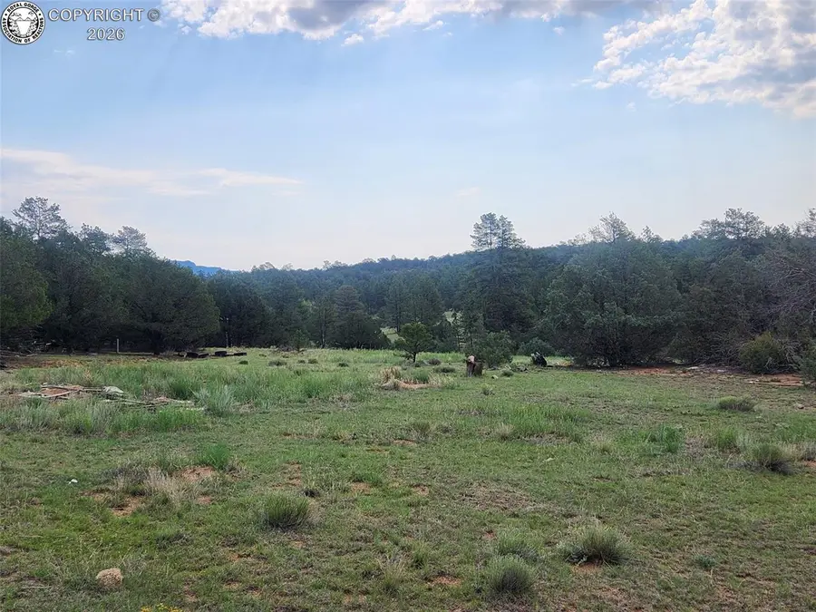 1262 35th Trail, Texas Creek, CO 81223 - #3