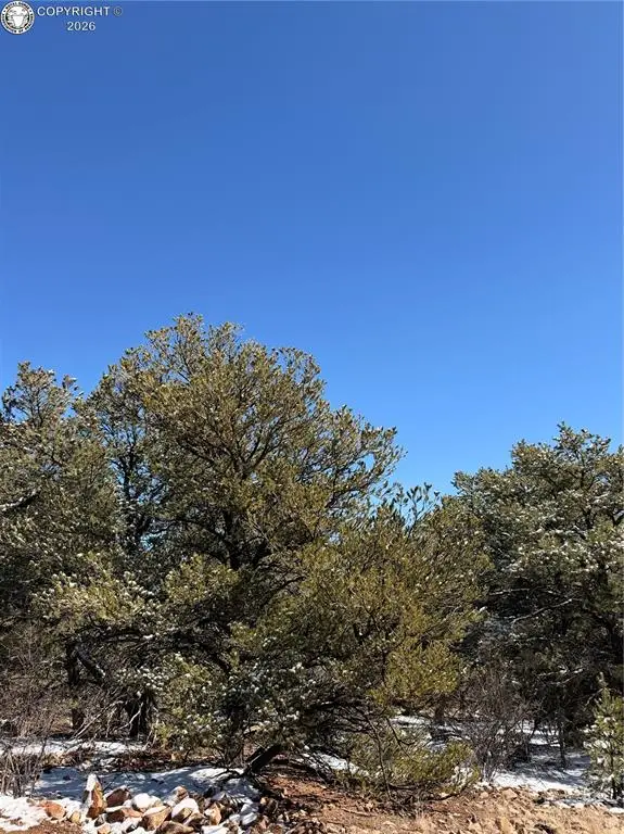 TBD 41st Trail, Cotopaxi, CO 81223 - #2