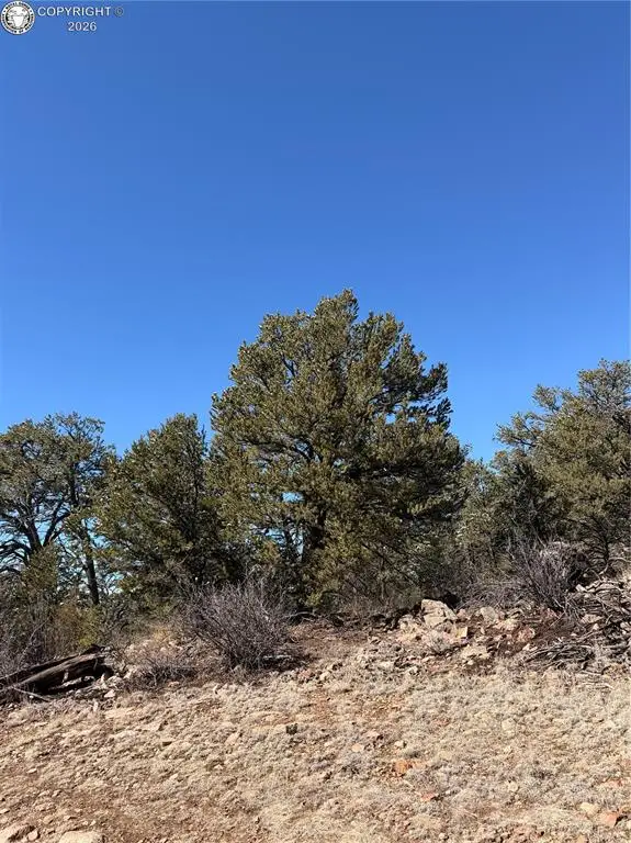 TBD 41st Trail, Cotopaxi, CO 81223 - #3