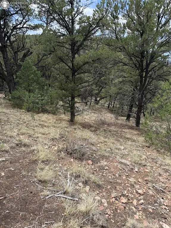 000 13th Trail, Cotopaxi, CO 81223 - #3